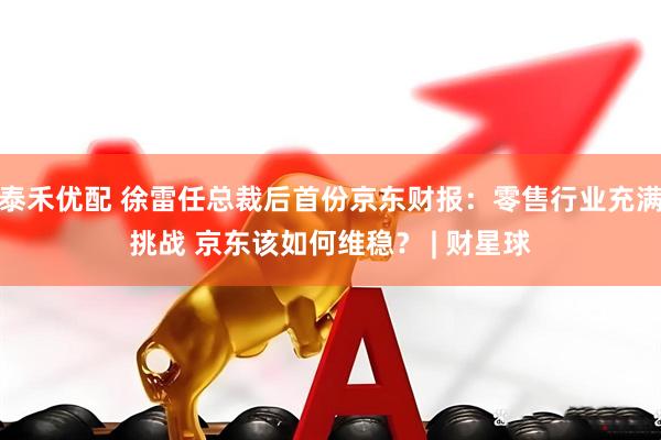 泰禾优配 徐雷任总裁后首份京东财报：零售行业充满挑战 京东该如何维稳？ | 财星球