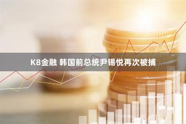 K8金融 韩国前总统尹锡悦再次被捕