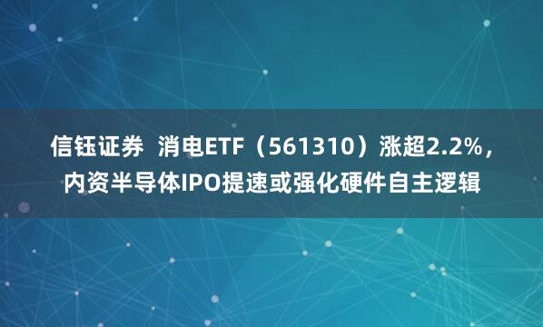 信钰证券  消电ETF（561310）涨超2.2%，内资半导体IPO提速或强化硬件自主逻辑