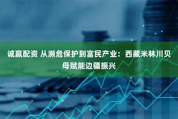 诚赢配资 从濒危保护到富民产业：西藏米林川贝母赋能边疆振兴