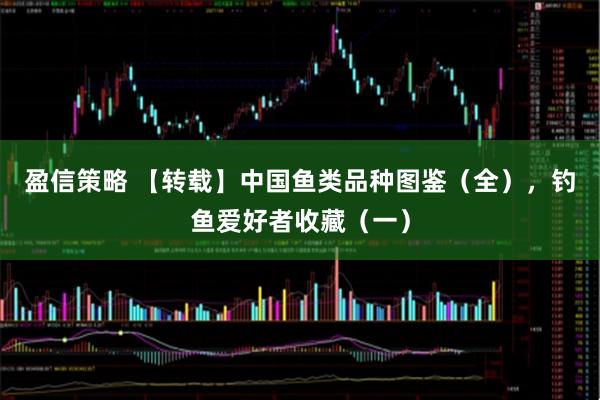 盈信策略 【转载】中国鱼类品种图鉴（全），钓鱼爱好者收藏（一）